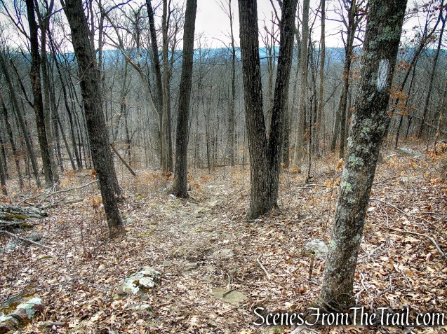 White Trail - Spiderweed Preserve
