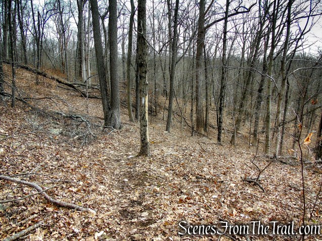 White Trail - Spiderweed Preserve