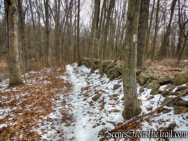 White Trail - Spiderweed Preserve
