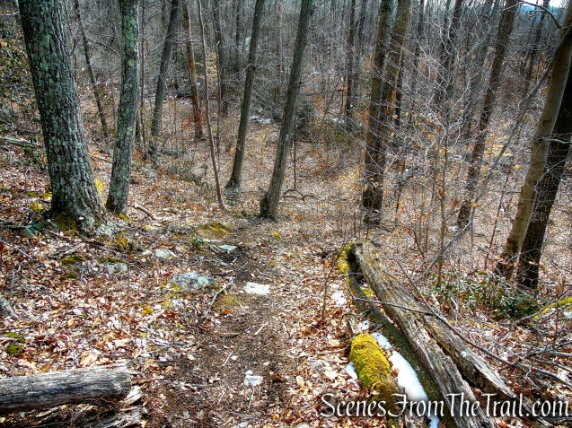 White Trail - Spiderweed Preserve