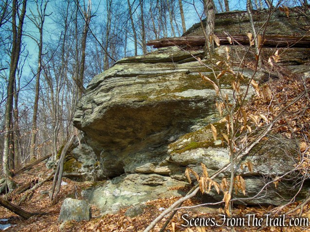 rock shelter - Spiderweed Preserve