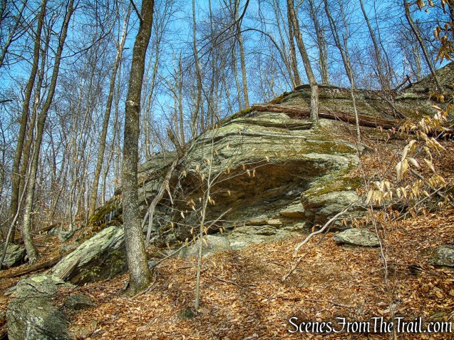 rock shelter - Spiderweed Preserve