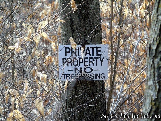 White Trail - Spiderweed Preserve