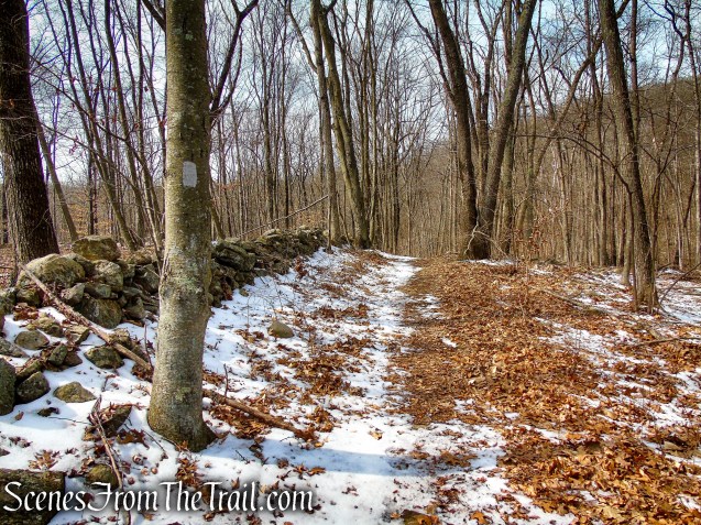 White Trail - Spiderweed Preserve