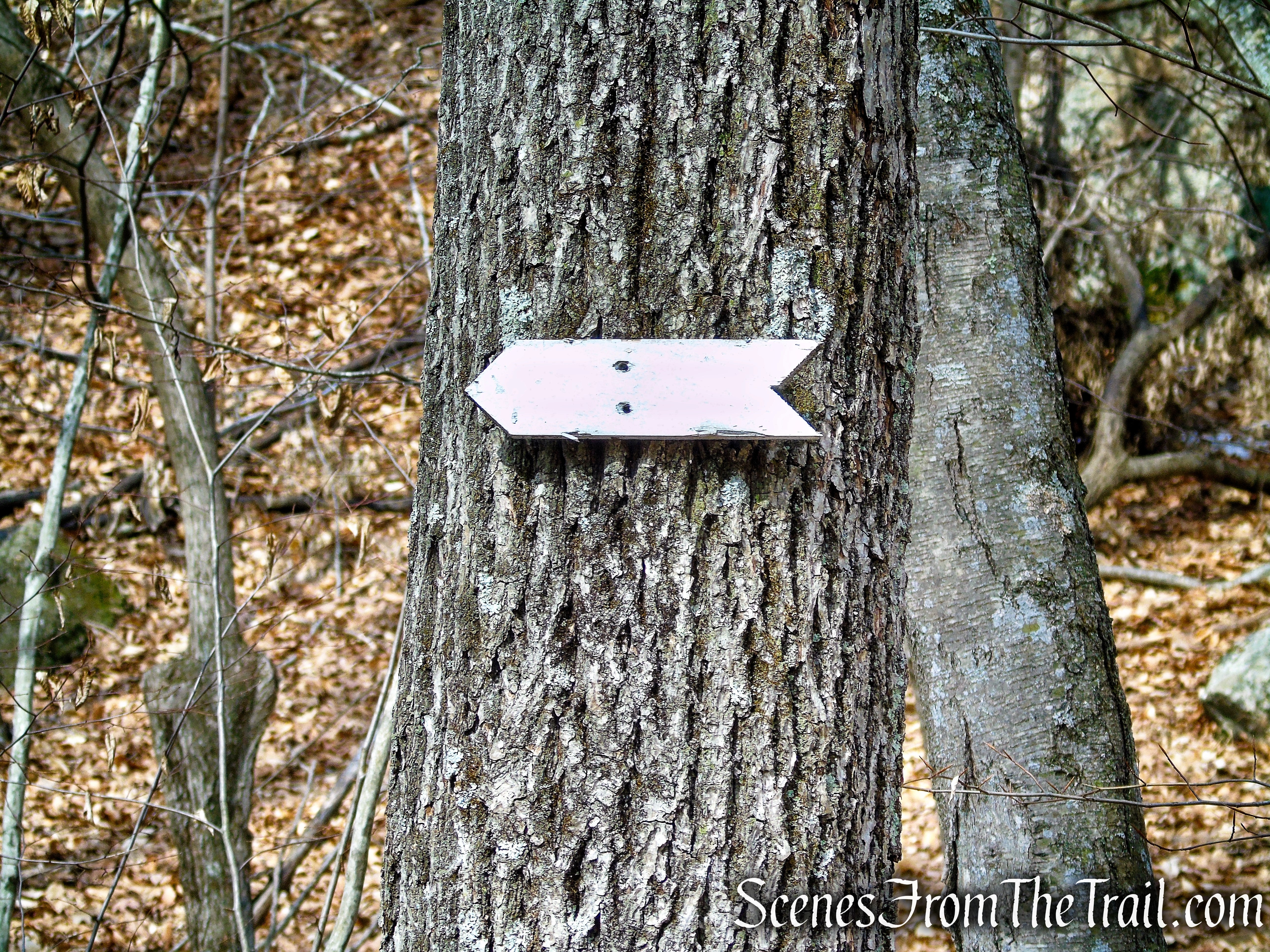 turn left to remain on White Trail