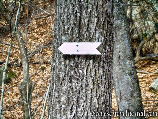 turn left to remain on White Trail