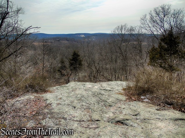 first viewpoint – Spiderweed Preserve