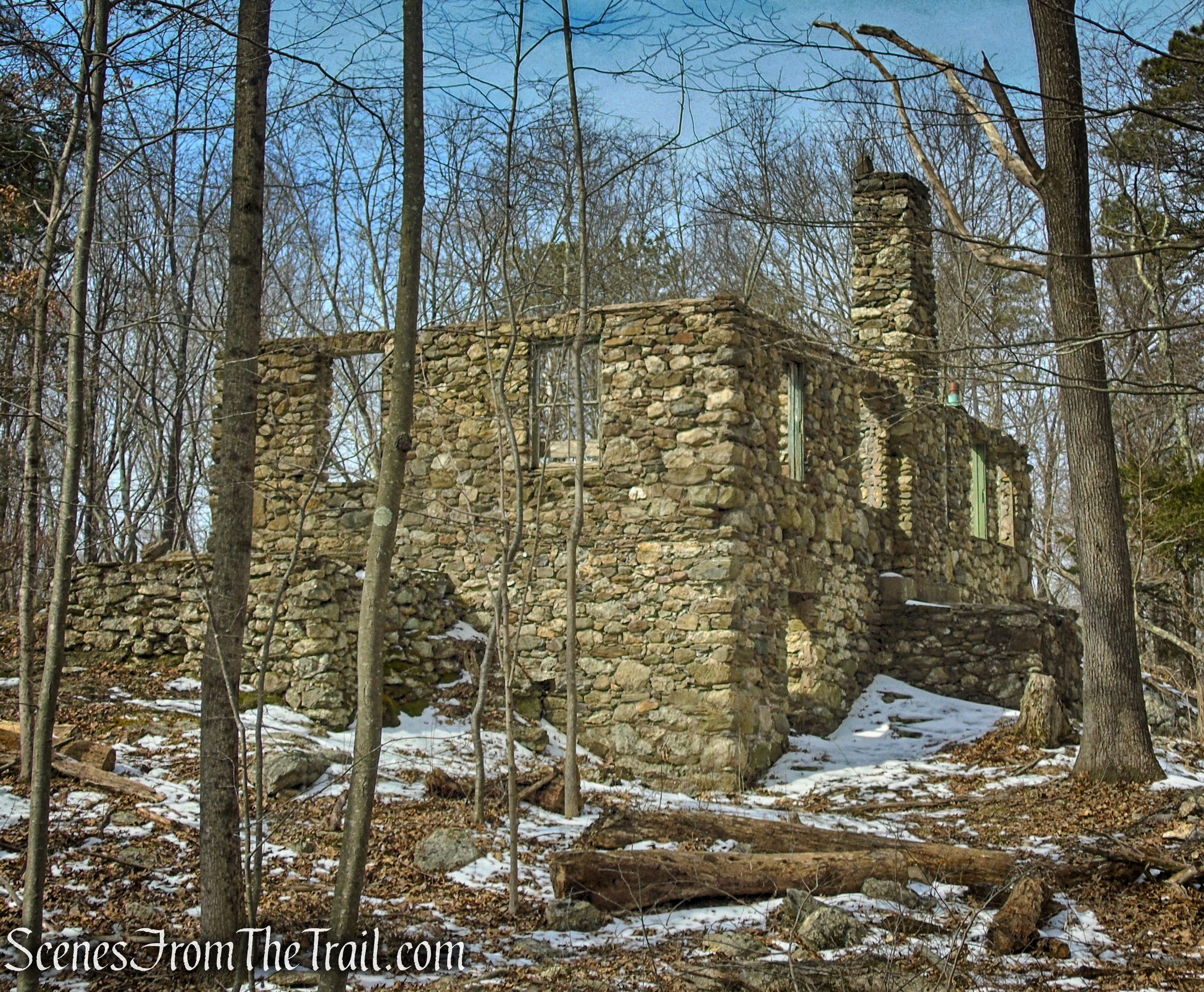 Spiderweed ruins