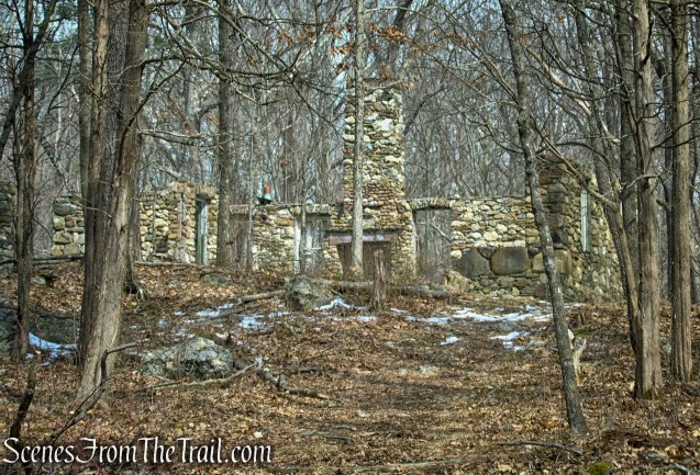 Spiderweed stone ruins