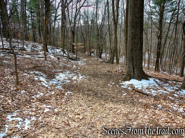 White Trail - Spiderweed Preserve