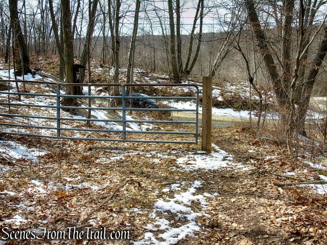 White Trail - Spiderweed Preserve