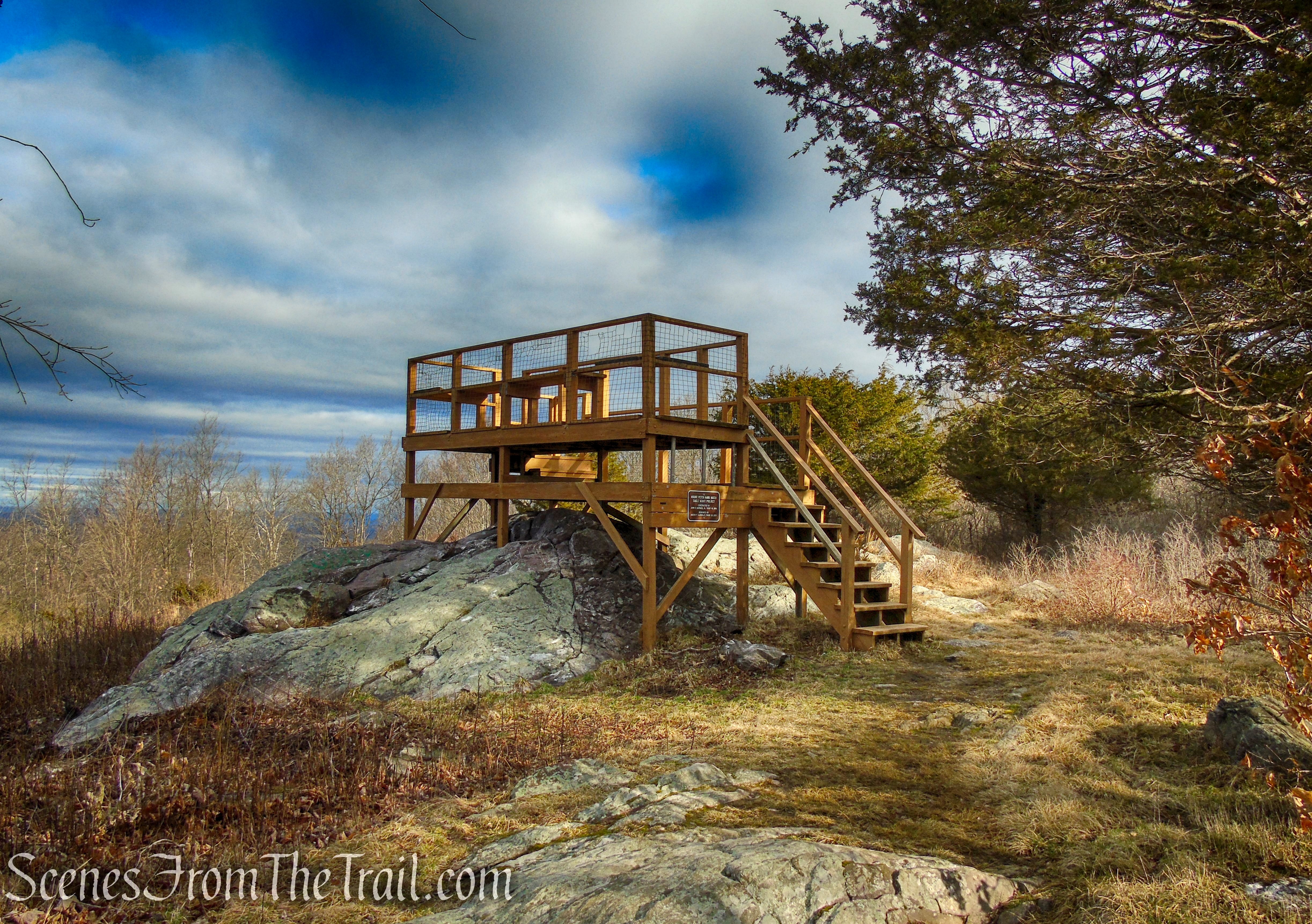 Mount Peter Hawk Watch