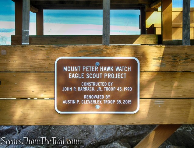 Mount Peter Hawk Watch