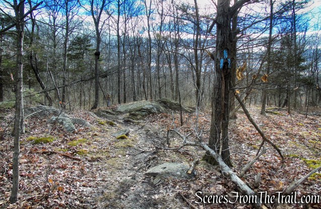Blue Connector Trail
