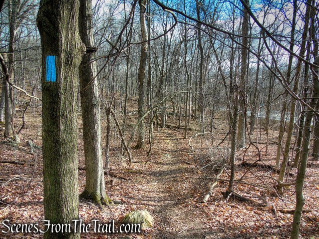 Blue Connector Trail