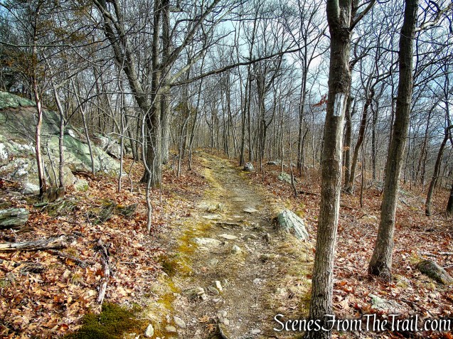 Appalachian Trail - Bellvale Mountain