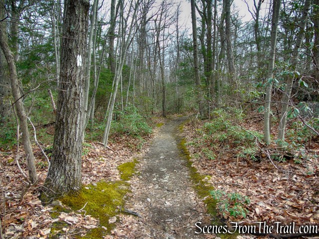 Appalachian Trail - Bellvale Mountain
