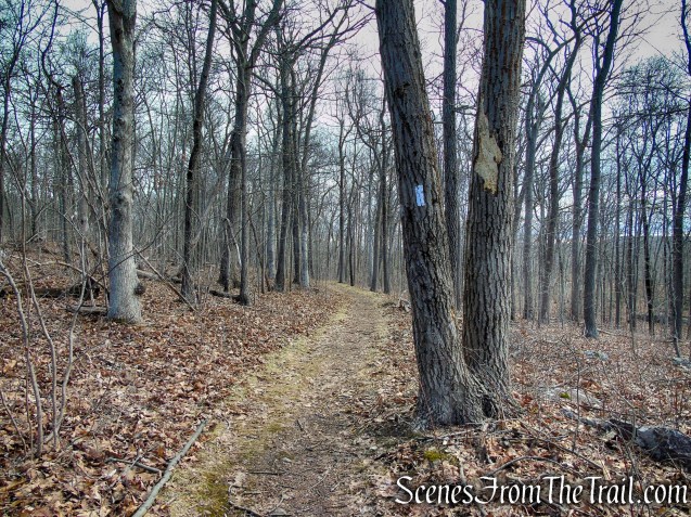 Appalachian Trail – Bellvale Mountain