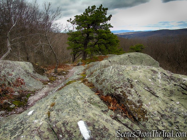 Eastern Pinnacles – Appalachian Trail