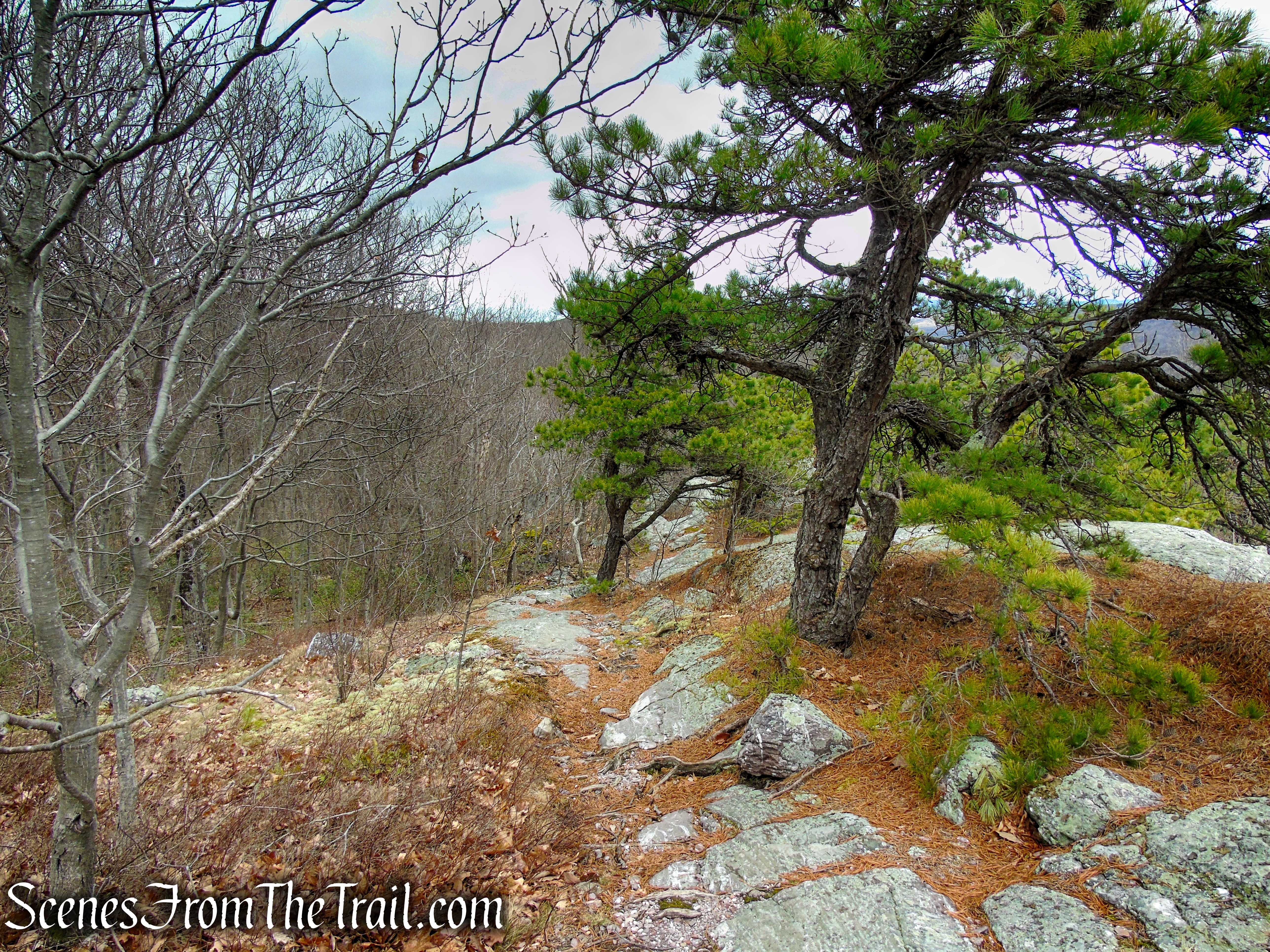 Eastern Pinnacles – Appalachian Trail