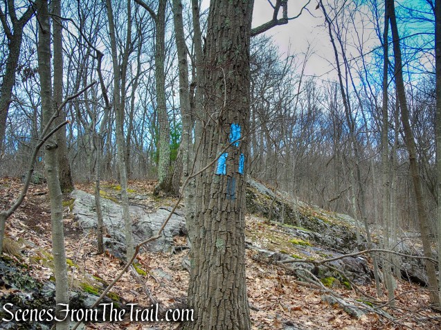 junction of AT and Blue Bypass Trail