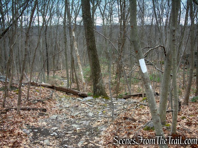 Appalachian Trail – Bellvale Mountain