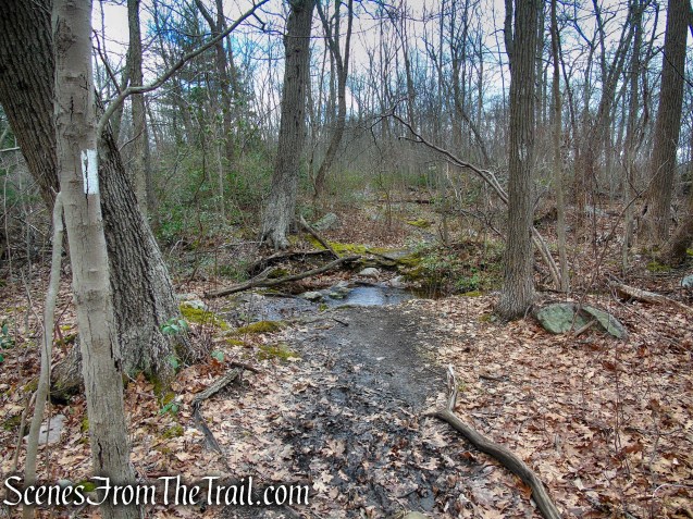 Appalachian Trail – Bellvale Mountain