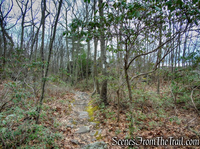 Appalachian Trail – Bellvale Mountain