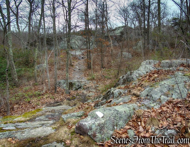 Appalachian Trail – Bellvale Mountain