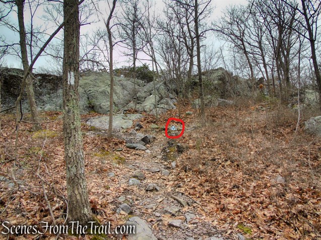 Cat Rocks - Bellvale Mountain