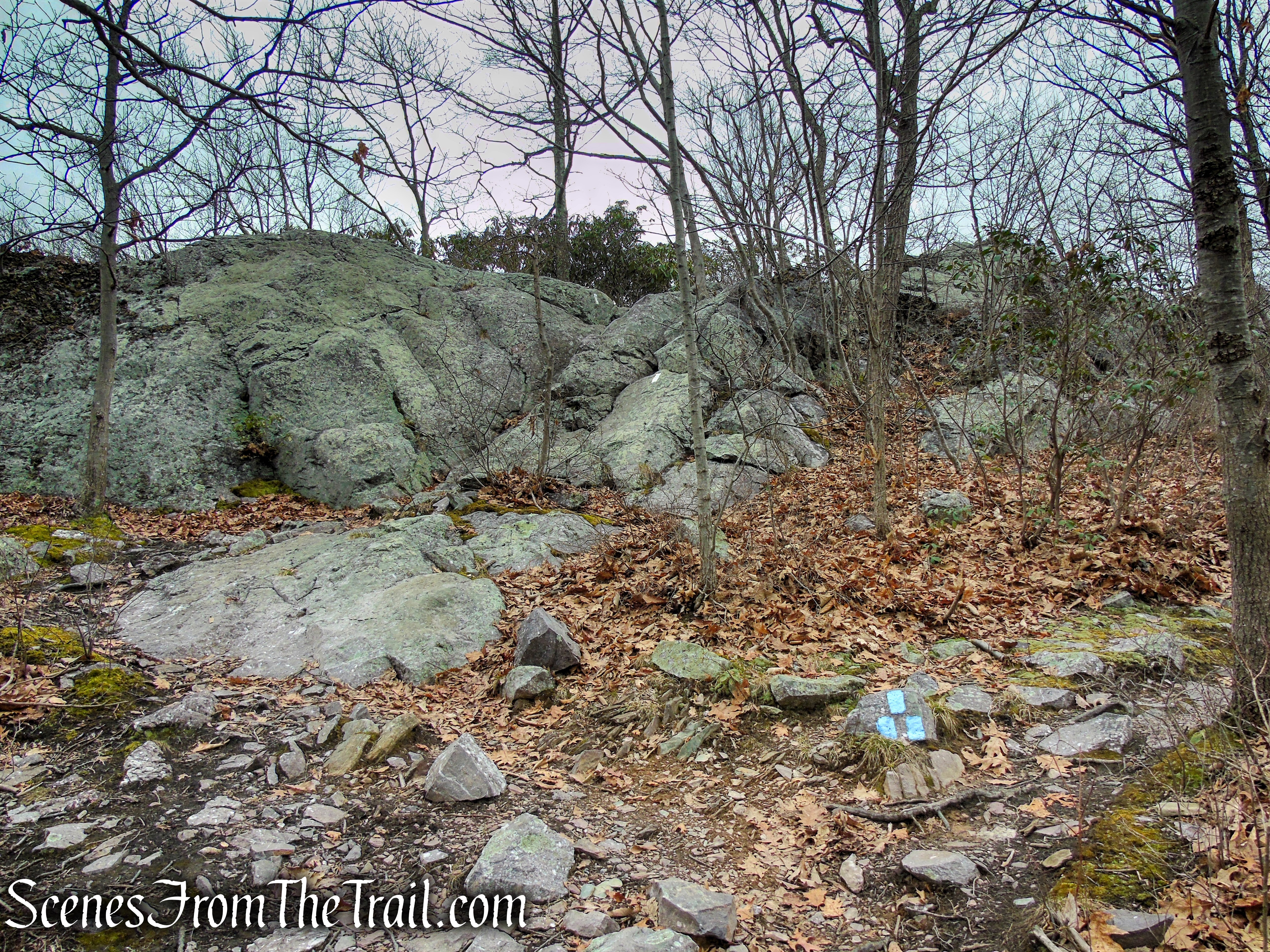 Cat Rocks - Bellvale Mountain