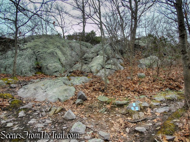 Cat Rocks - Bellvale Mountain