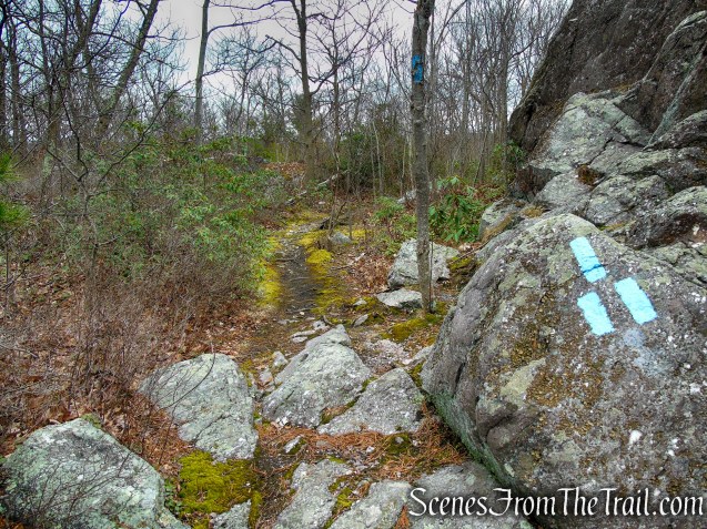Blue Bypass Trail - Cat Rocks