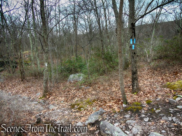 Blue Bypass Trail - Cat Rocks