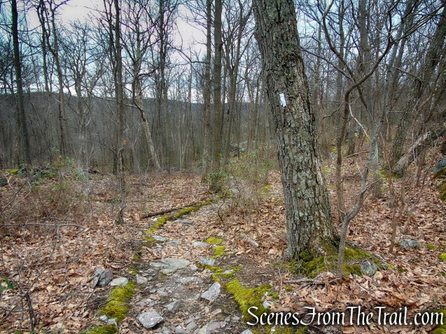 Appalachian Trail – Bellvale Mountain