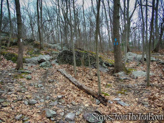AT & Blue Bypass Trail junction