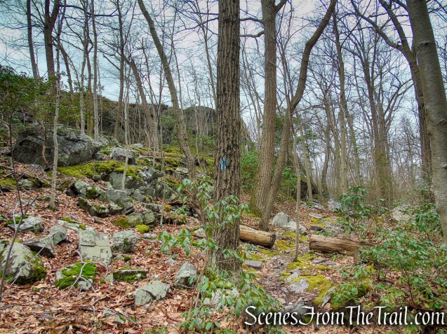 Blue Bypass Trail - Eastern Pinnacles