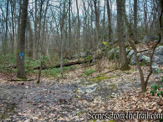 Blue Bypass Trail - Eastern Pinnacles