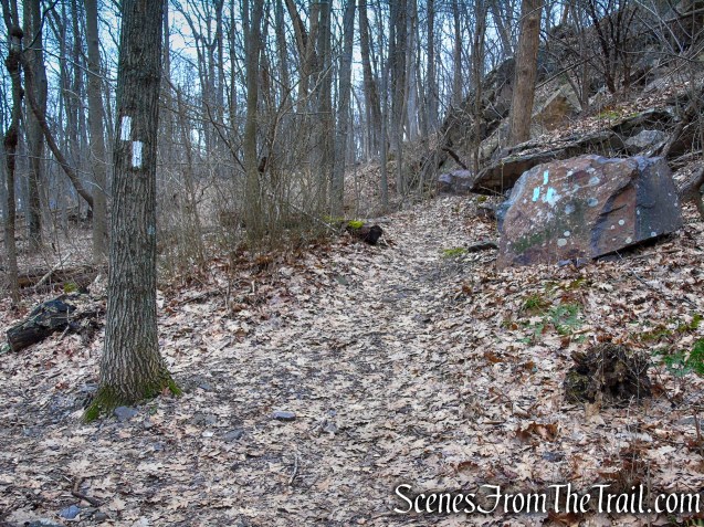 AT & Blue Connector Trail junction