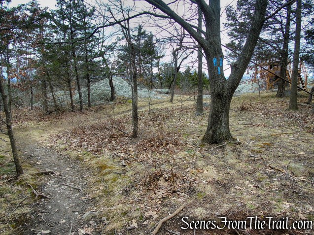 Blue Connector Trail - Mount Peter Hawk Watch