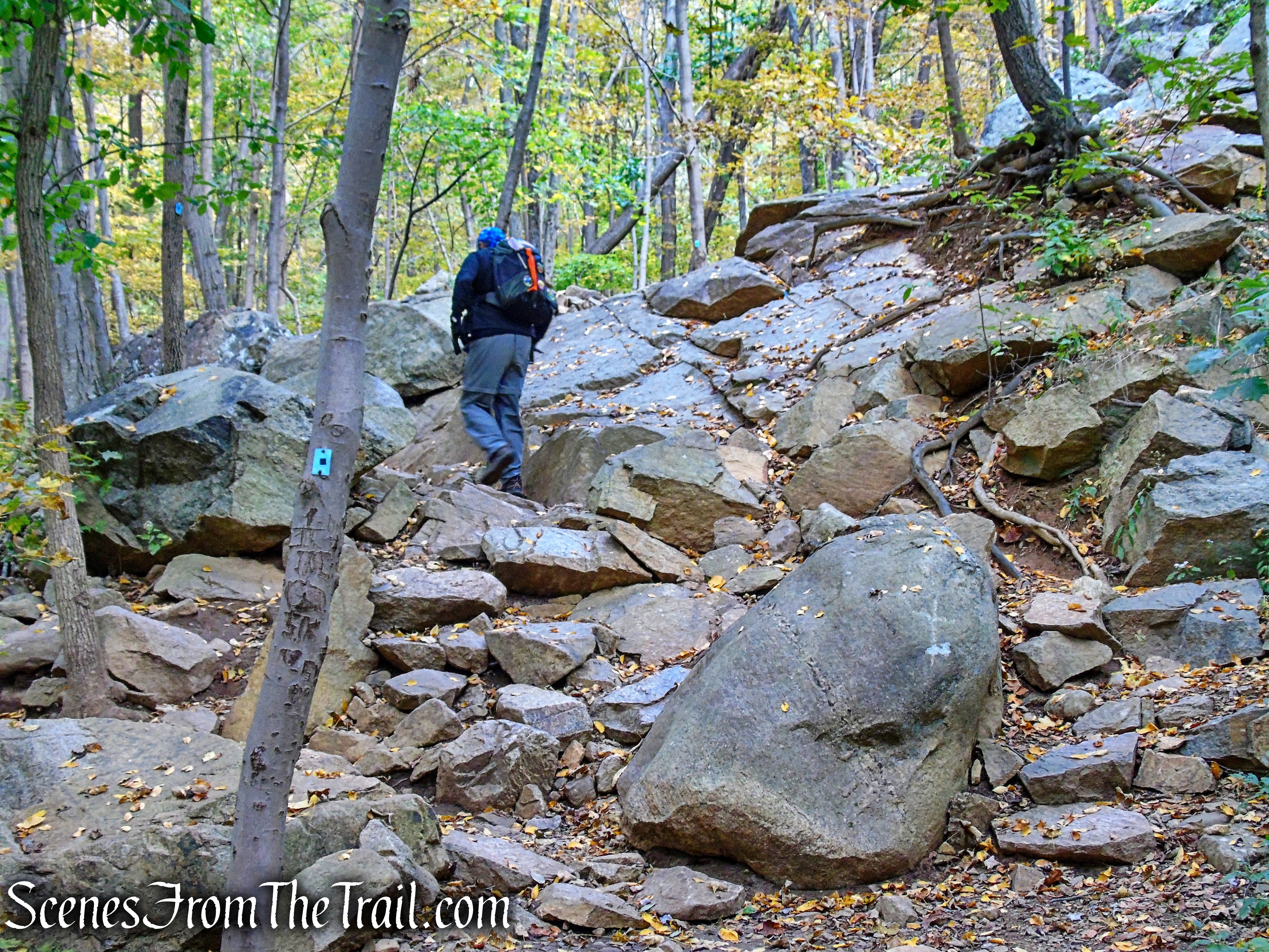 Ramapo Lake Spur - Ramapo Mountain State Forest