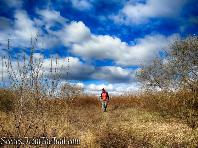 Tidal Marsh Trail - North Haven