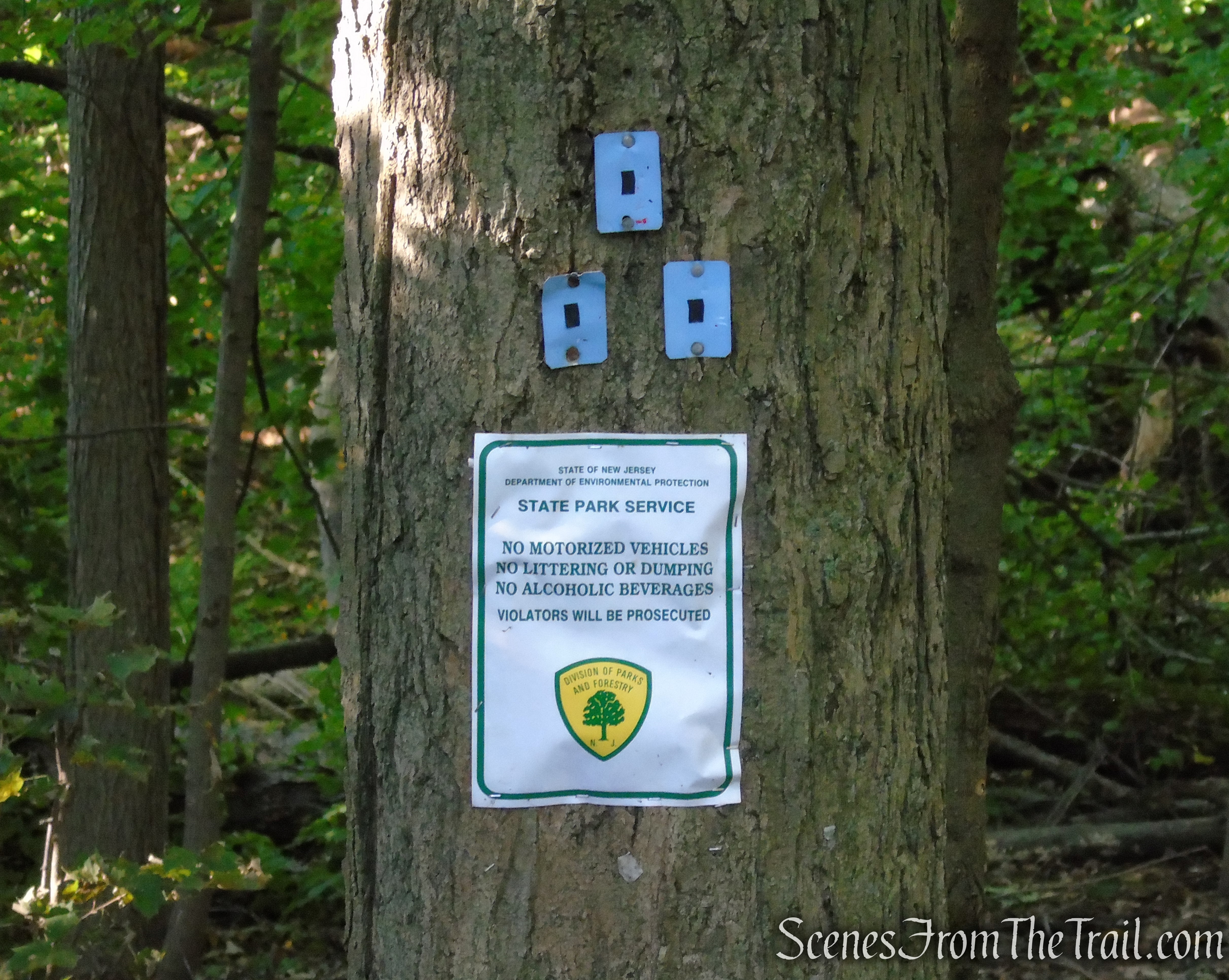 Ramapo Lake Spur – Ramapo Mountain State Forest