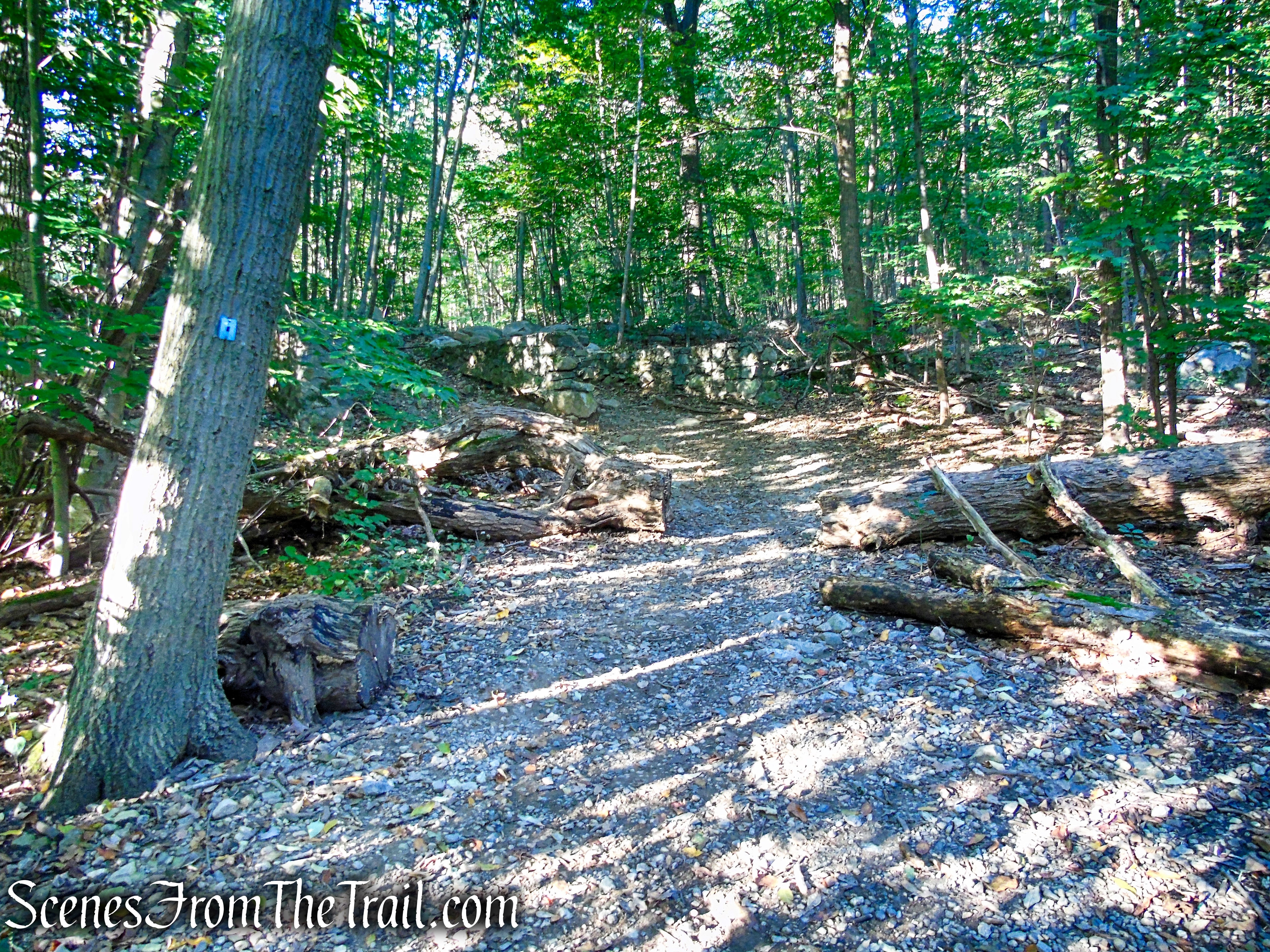 Ramapo Lake Spur – Ramapo Mountain State Forest