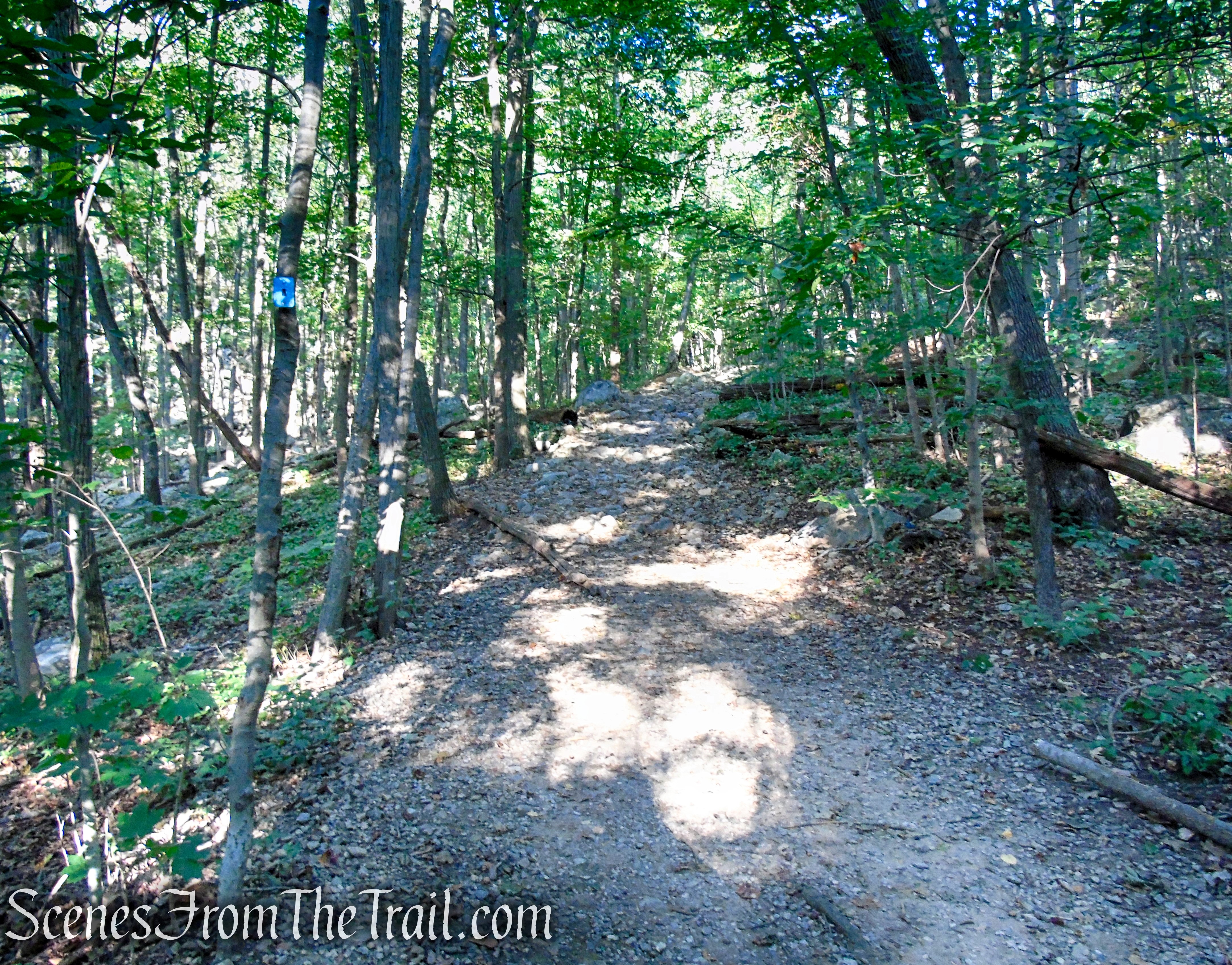 Ramapo Lake Spur – Ramapo Mountain State Forest