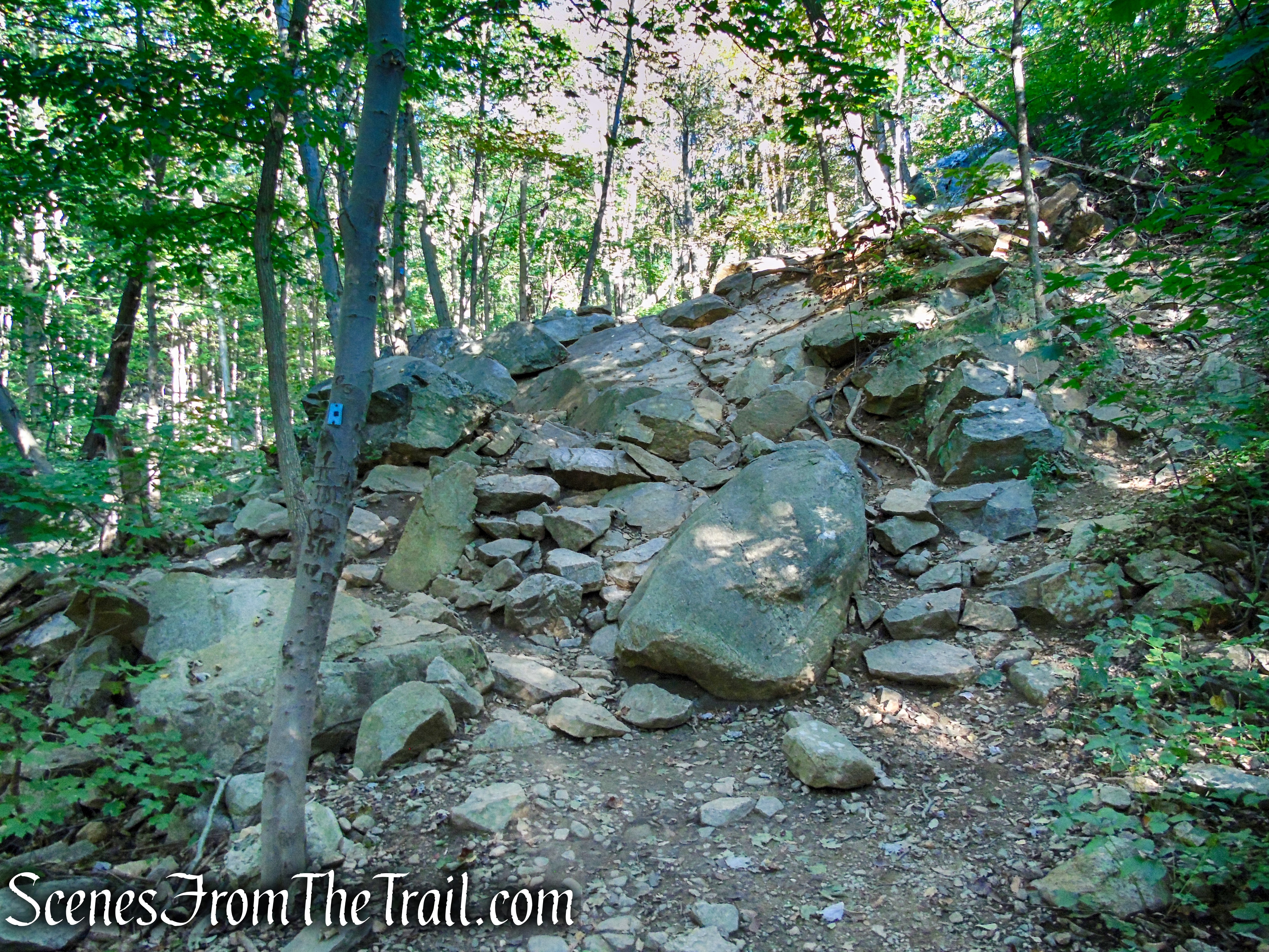 Ramapo Lake Spur – Ramapo Mountain State Forest
