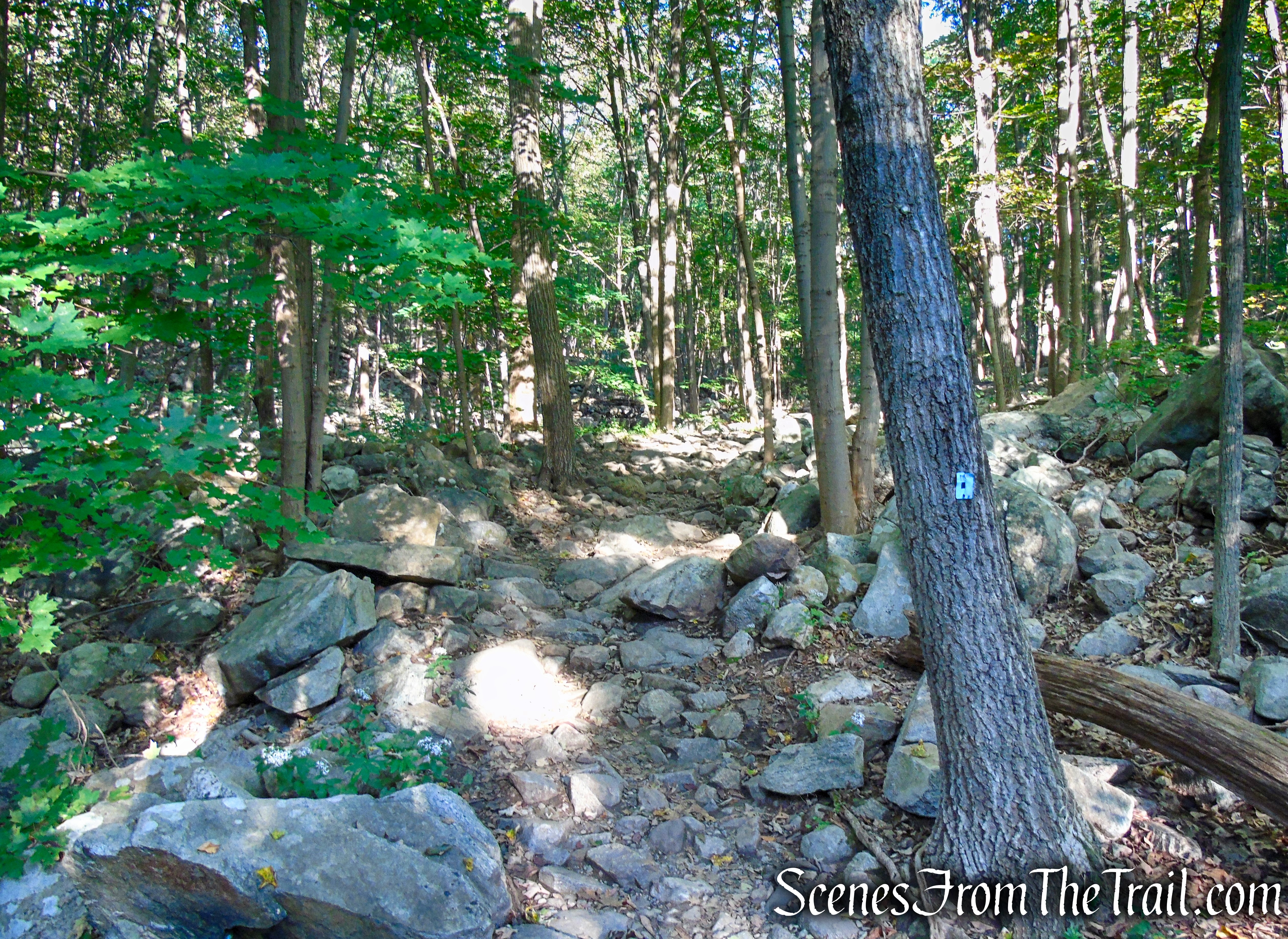 Ramapo Lake Spur – Ramapo Mountain State Forest