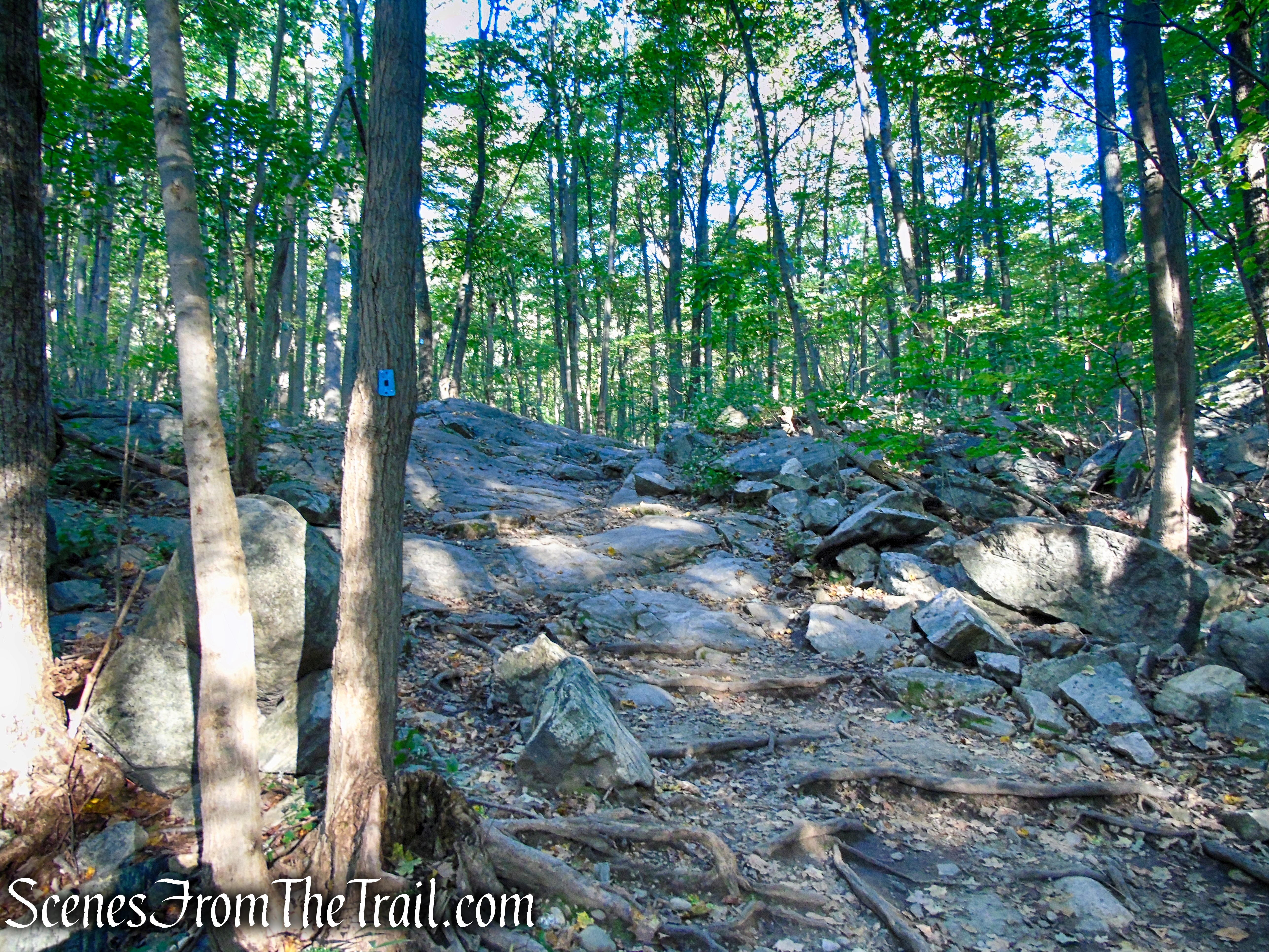 Ramapo Lake Spur – Ramapo Mountain State Forest