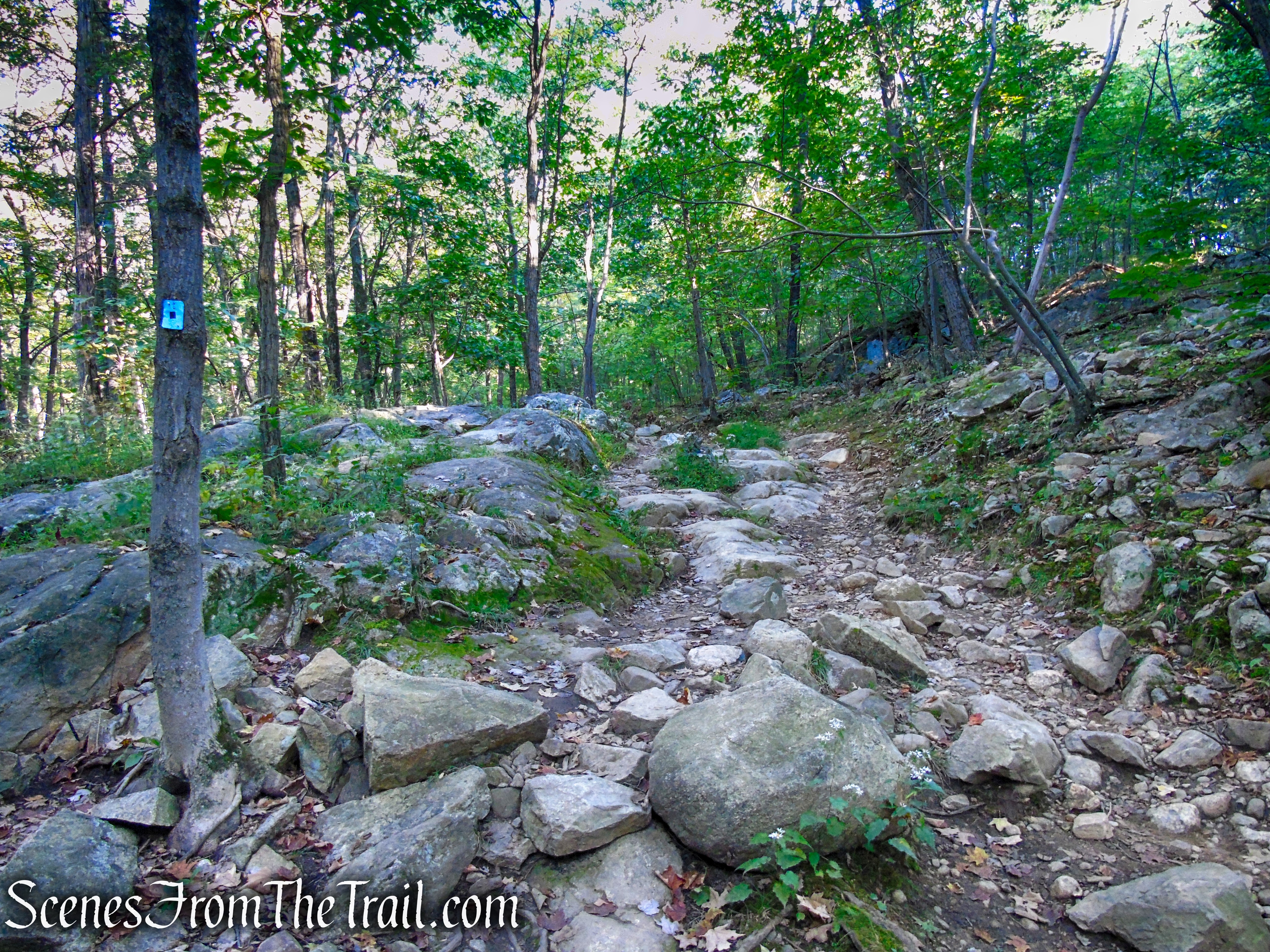 Ramapo Lake Spur – Ramapo Mountain State Forest
