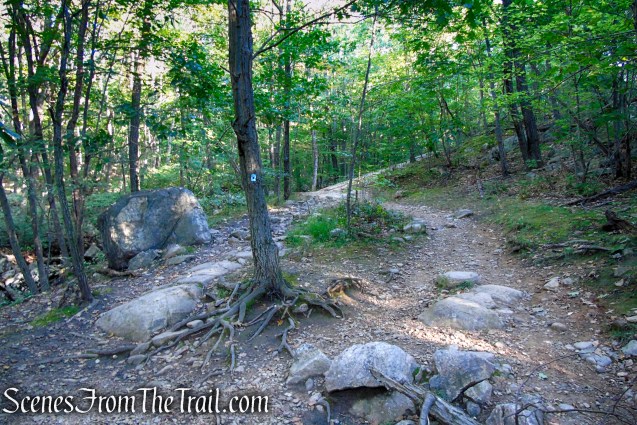 Ramapo Lake Spur – Ramapo Mountain State Forest